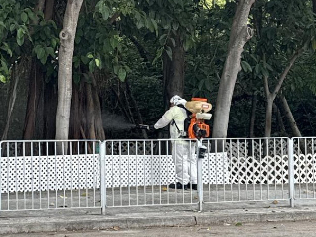 食環署承辦商人員在屯門區掃管笏一帶以霧化處理方式殺滅成蚊。(政府新聞處)