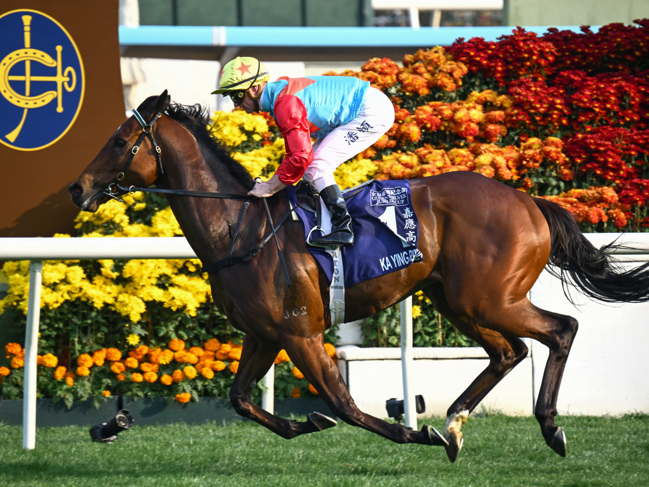 Ka Ying Rising has now run four of the five fastest times ever at Sha Tin. File photo: AFP