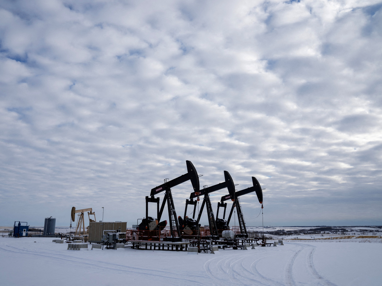 Oil pumpjacks operate in a farmer&rsquo;s field near Calgary, Alberta. File photo: Reuters