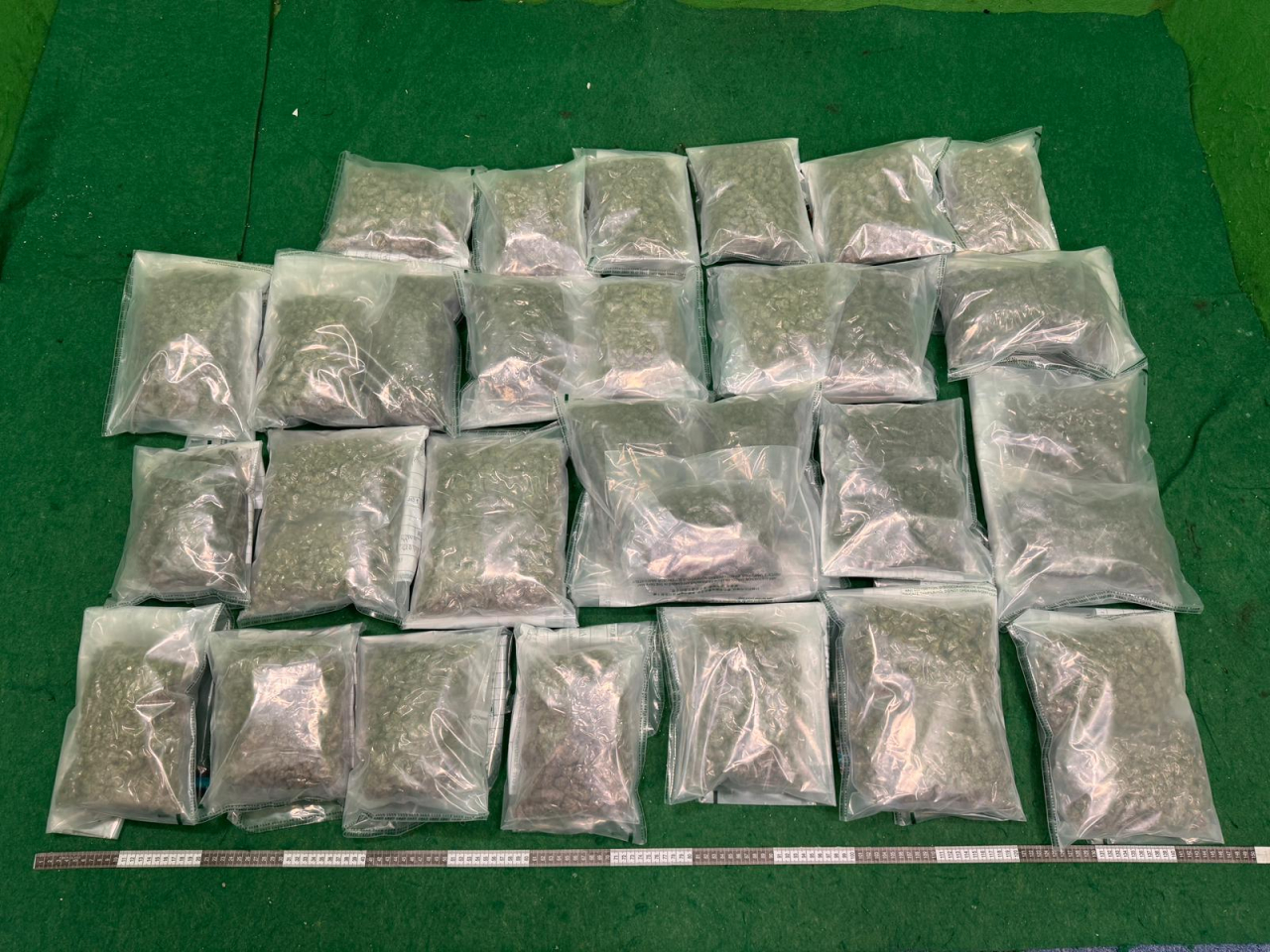 案件中檢獲的懷疑大麻花。（政府新聞處）