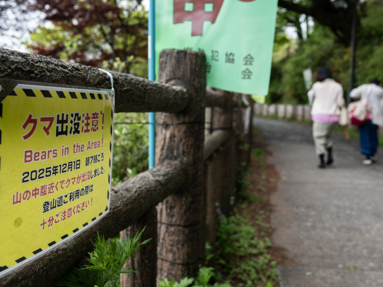 日本近日接連發生熊襲人事件，並出現懷疑死亡個案。(法新社資料圖片)