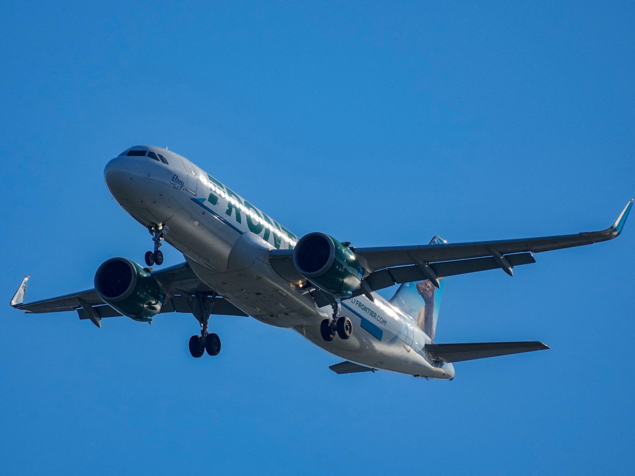 Frontier Airlines says the flight ⁠was carrying &zwnj;224 passengers and seven crew members. File photo: Reuters