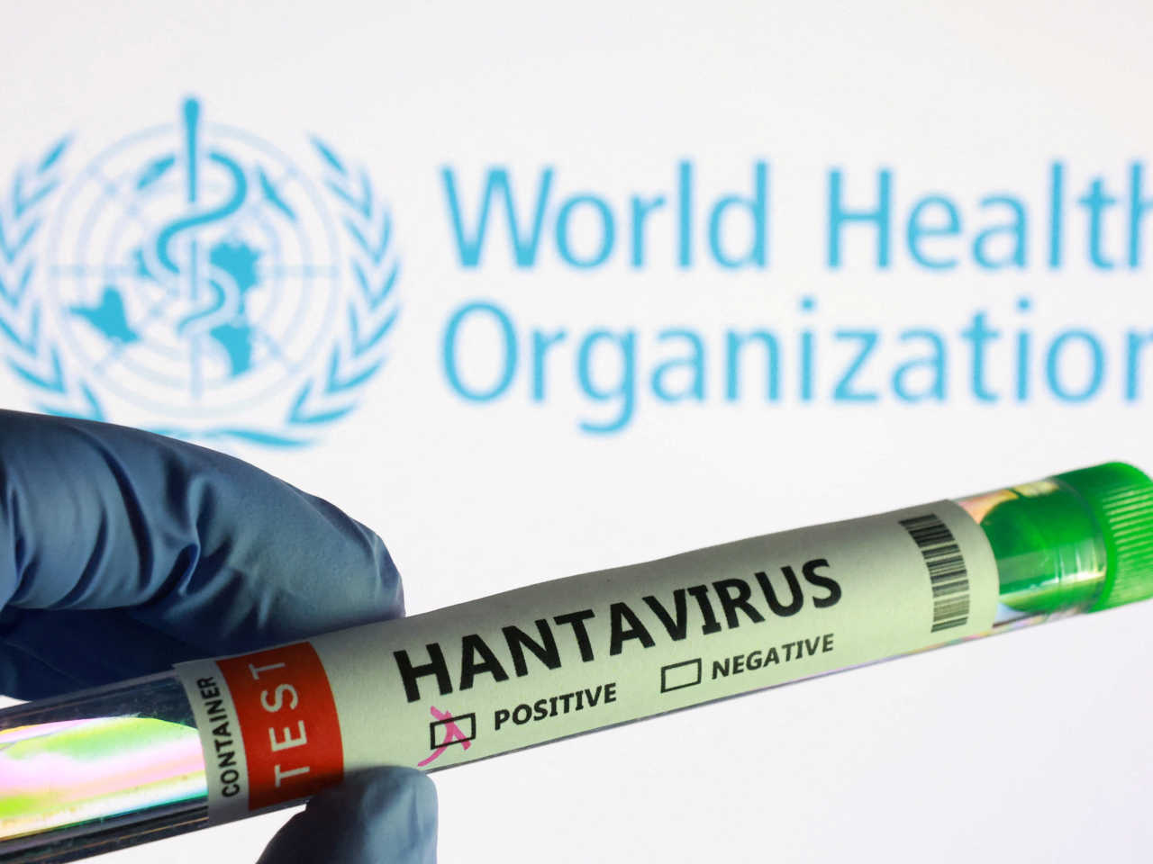 蒙特斯說，世衛組織正積極監測漢坦病毒疫情。（路透社資料圖片）