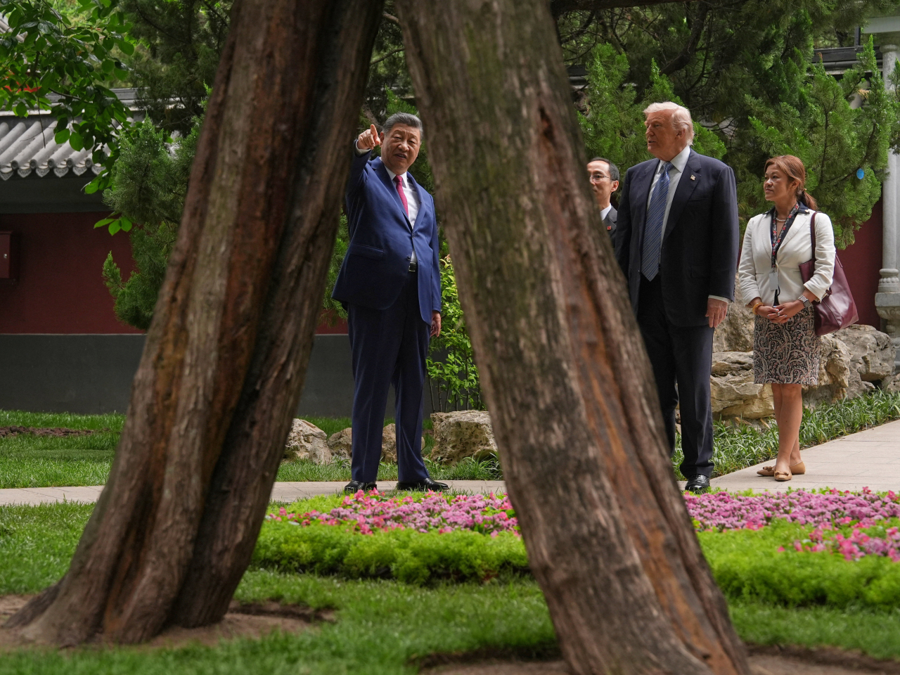 Xi Jinping points out one of the old trees that have aged well in Zhongnanhai to Donald Trump. Photo: Reuters