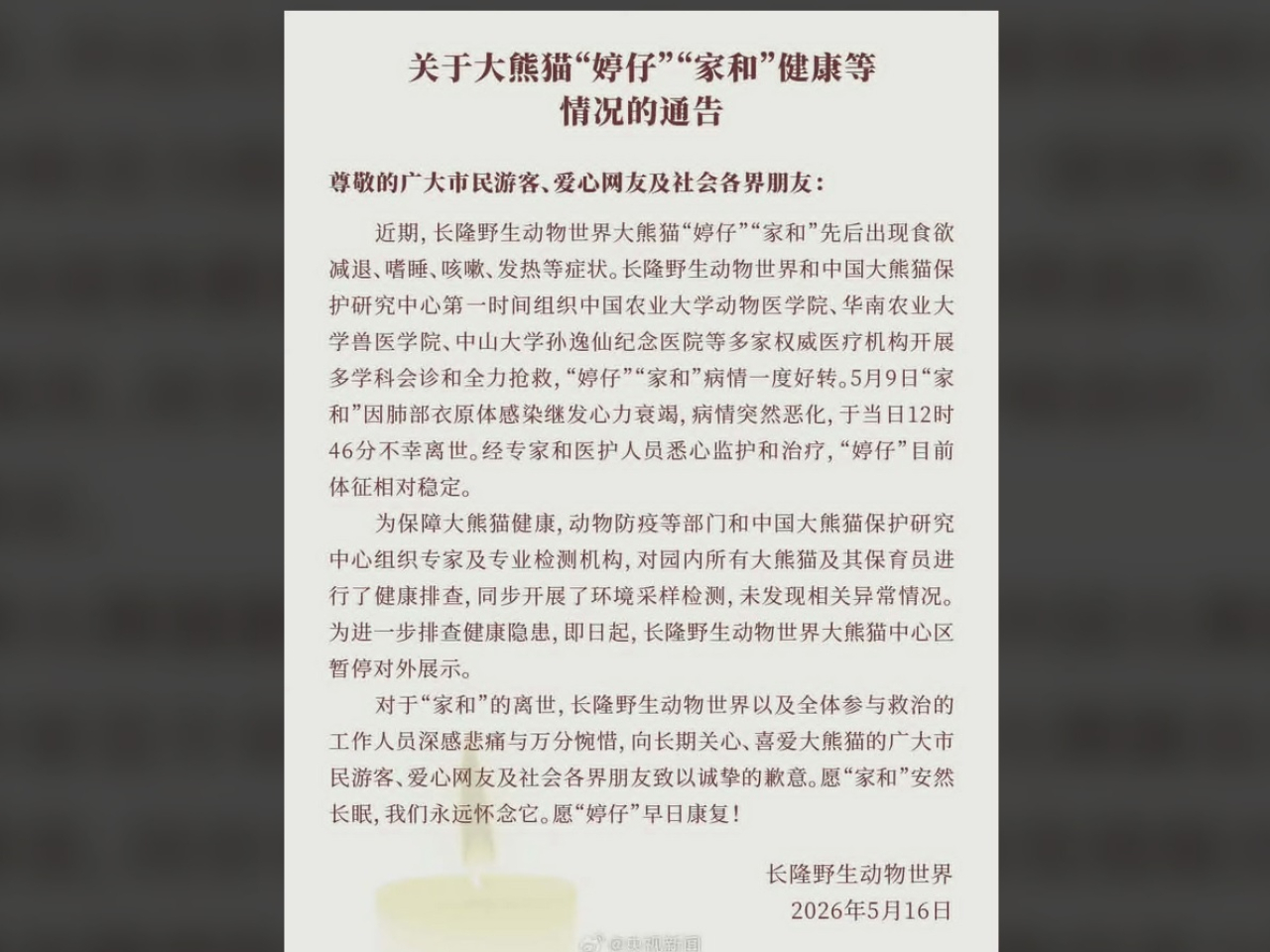 園方宣布大熊貓中心區暫停對外開放。（央視新聞圖片）