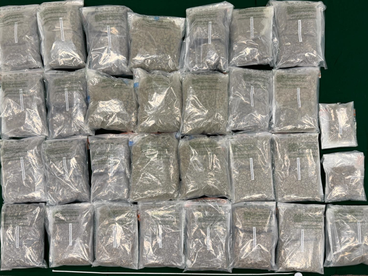 海關檢獲的懷疑大麻花。（政府新聞處）