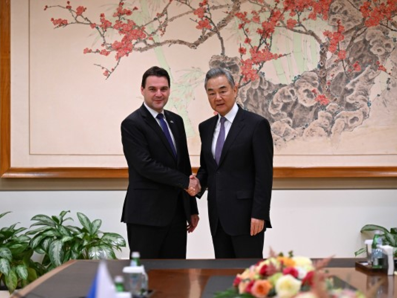王毅會見捷克副總理兼外長馬青卡。（外交部網站）