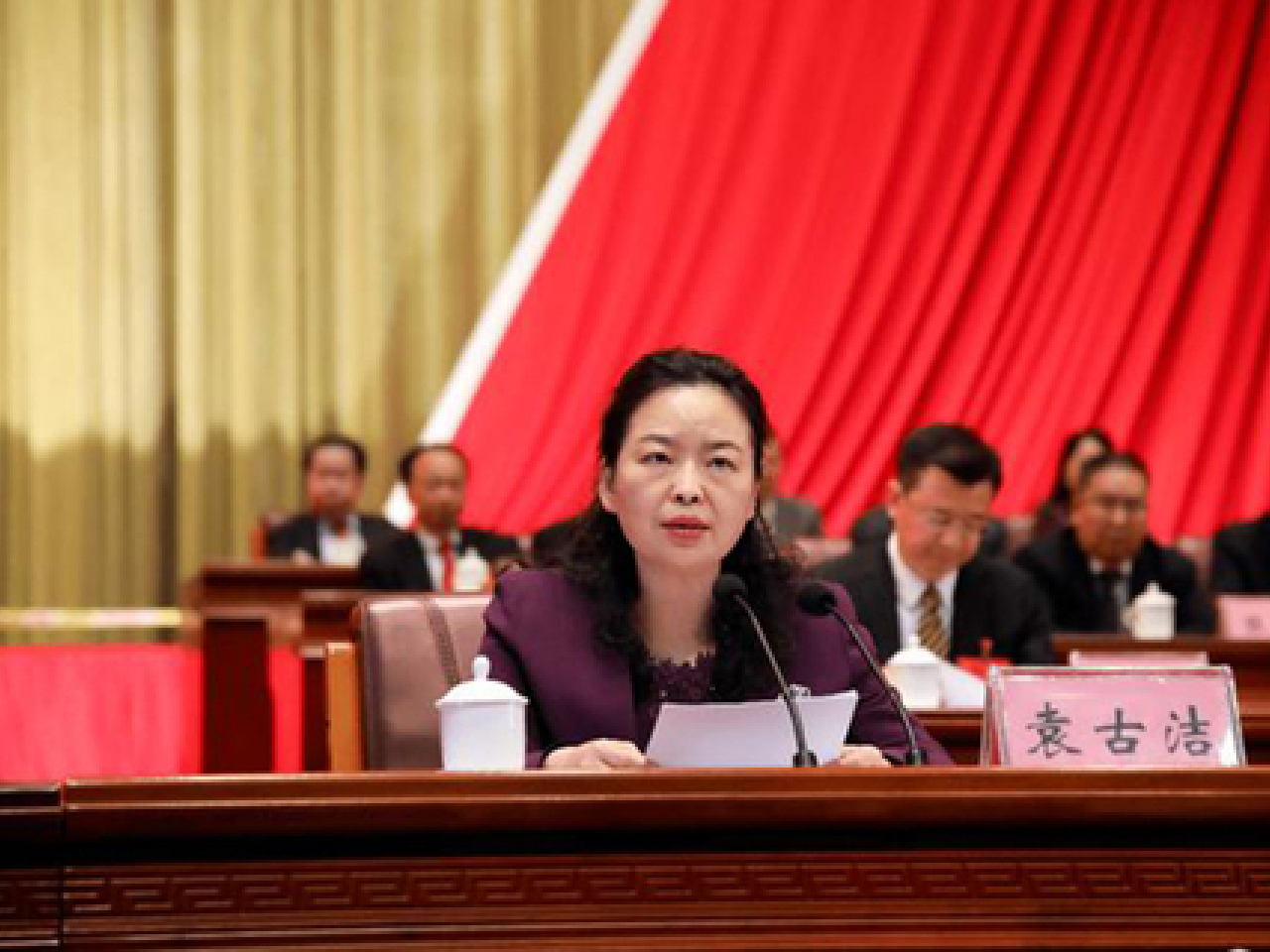 國務院任命袁古潔為香港中聯辦副主任。（網上圖片）