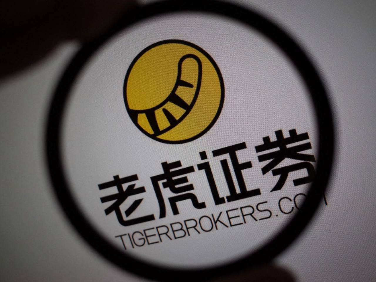 老虎下星期五開始，針對在境內交易服務，暫停股票等所有品種的新開倉、加倉交易。（法新社資料圖片）