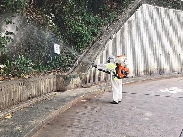 將軍澳北與馬鞍山及上水白紋伊蚊誘蚊器指數最高