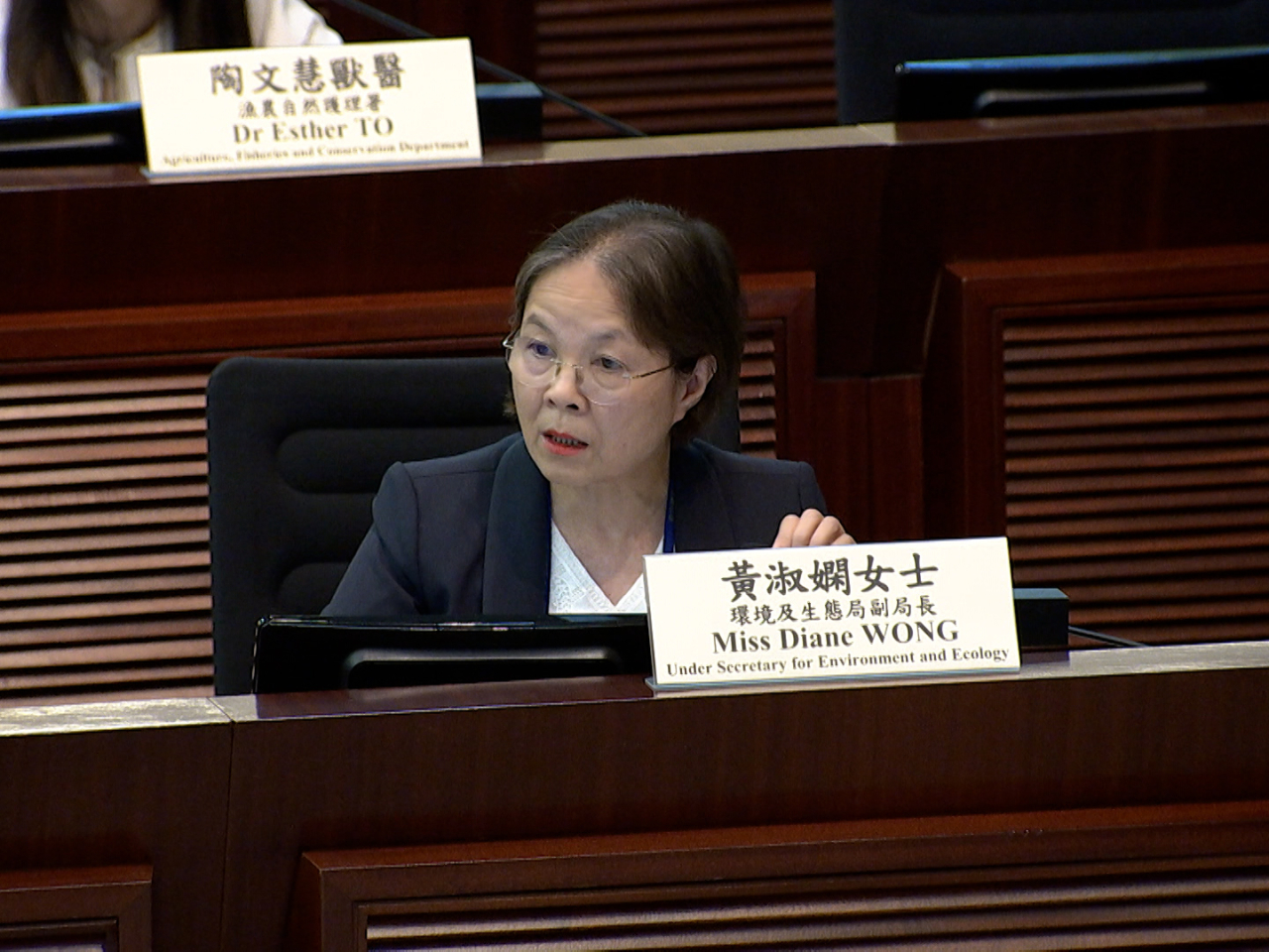 黃淑嫻指個別日子破邊洲路段遊客人數已達到承載量上限，加上部分路段有耗損，正研究預約制度細節。