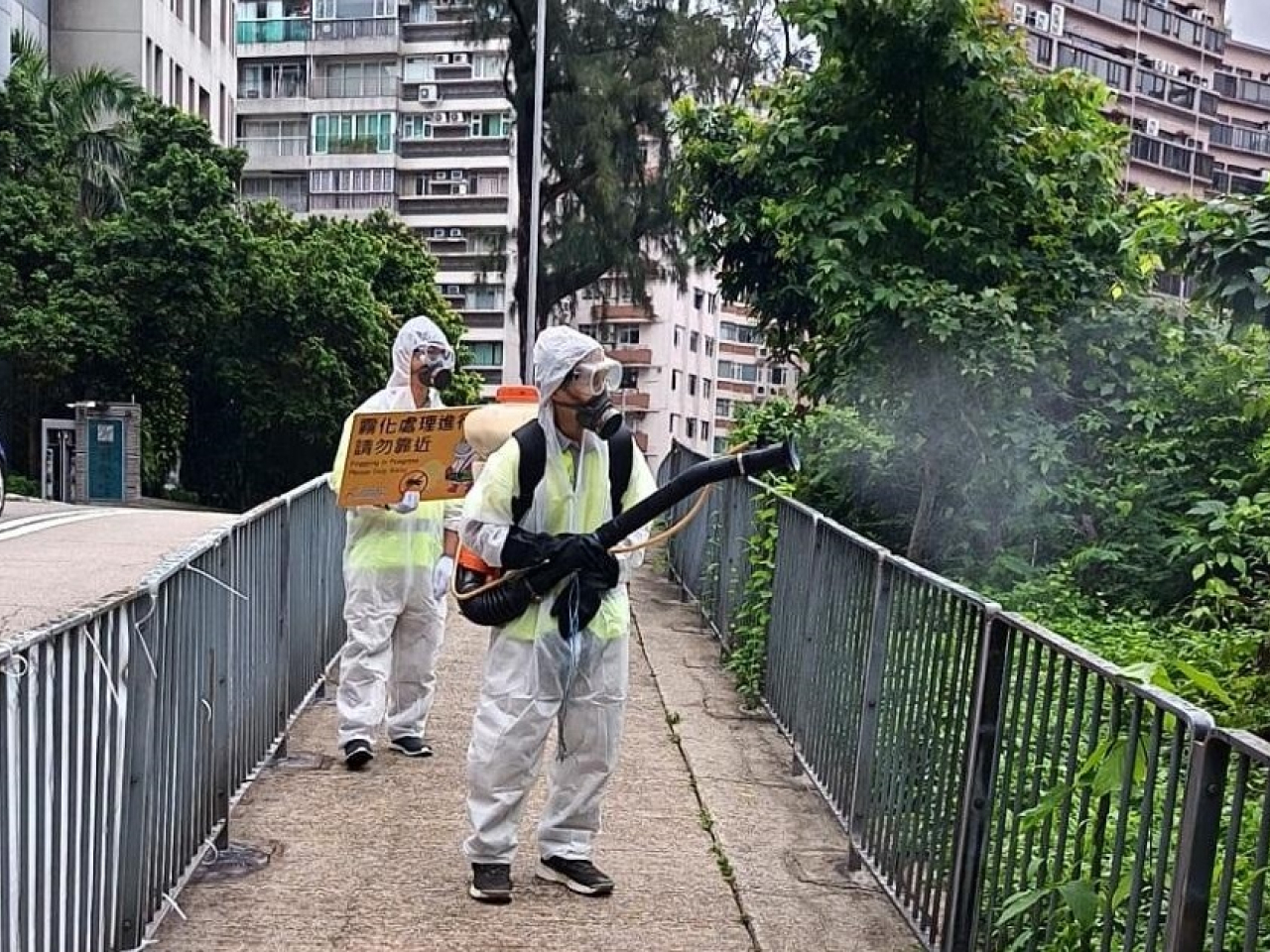 食環署承辦商人員在九龍城區何文田一帶以霧化處理方式殺滅成蚊。（政府新聞處）