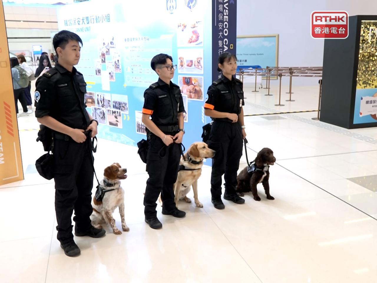 「機場保安犬隻行動小組」成立5年周年，由最初的2隻，變成現時的20隻。（廖漢榮攝）