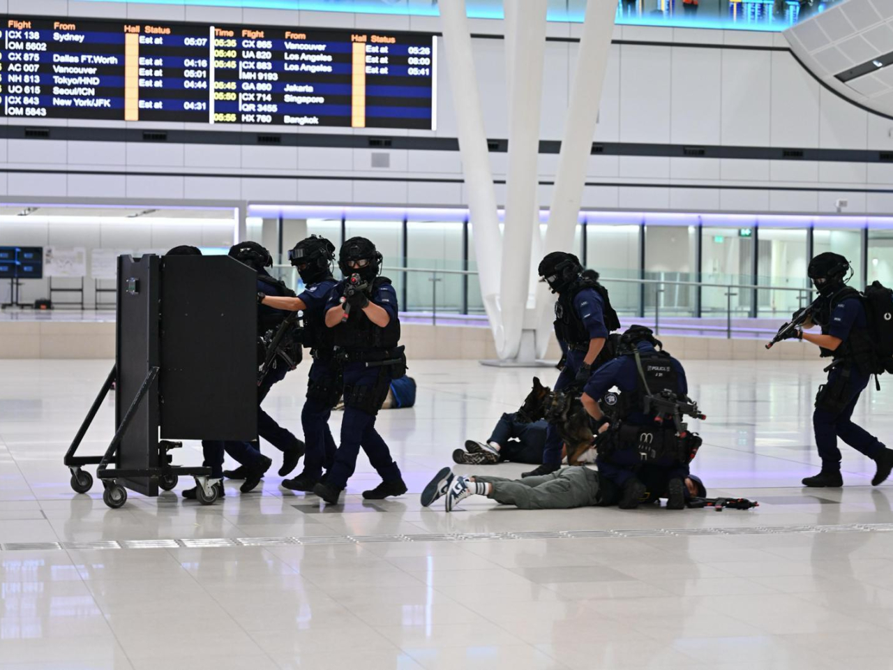 在演習中，機場特警組人員制服恐怖分子。（政府新聞處）