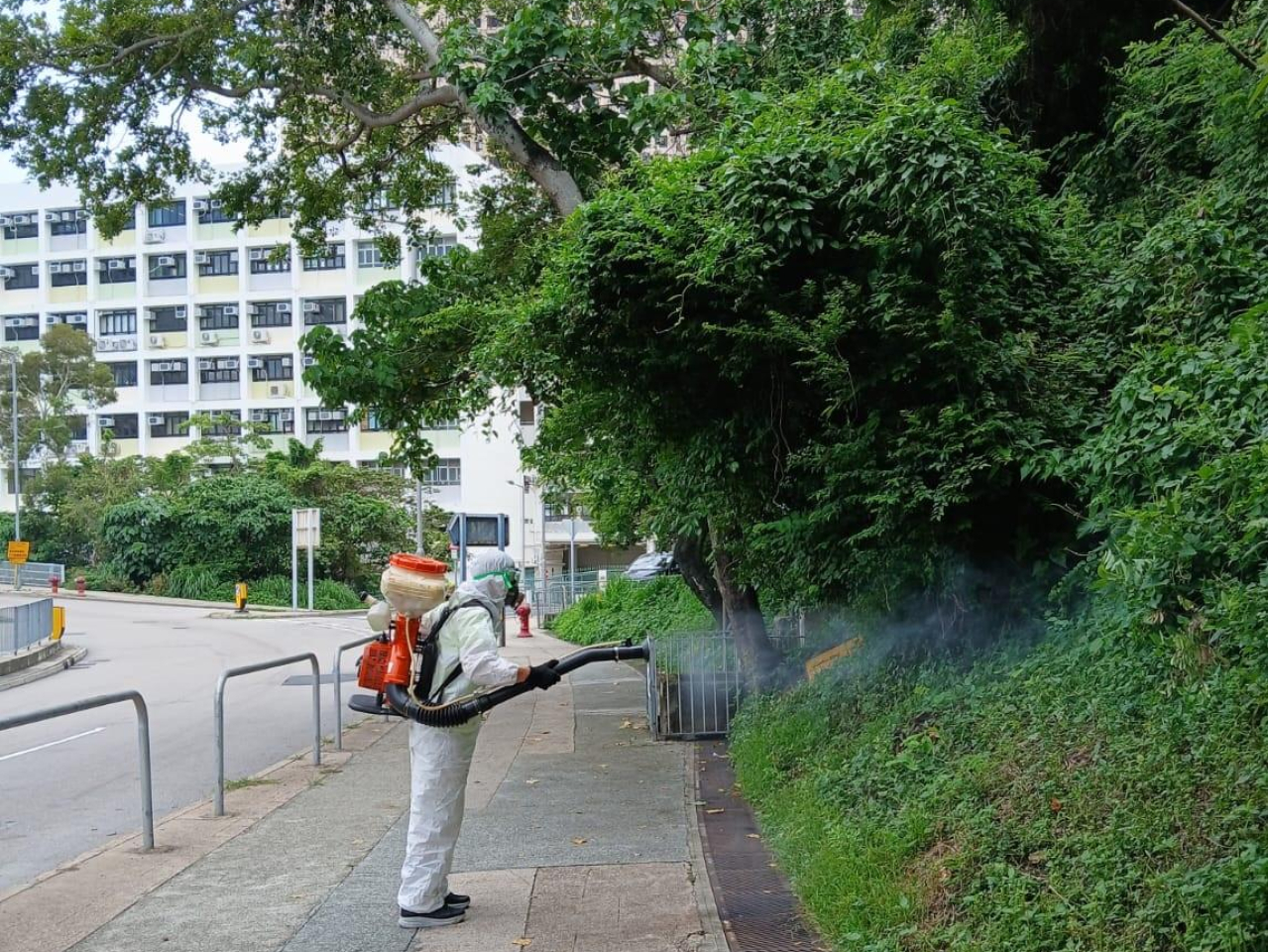 因應今年氣溫和降雨量相對往都有所增加，政府會密切留意蚊患指數，加強滅蚊和防蚊工作。（食環署圖片）