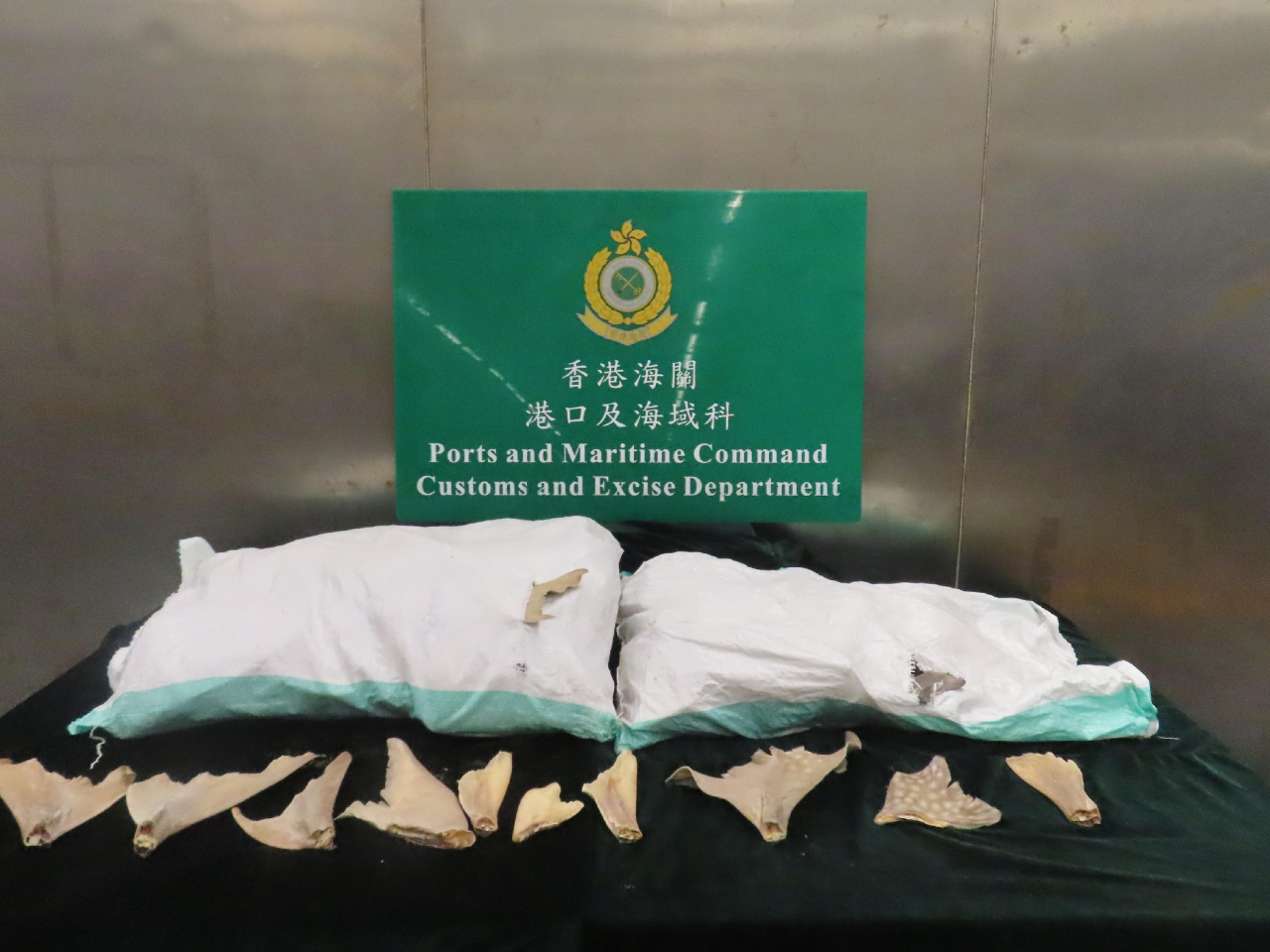 檢獲的部分懷疑受管制犁頭鰩乾魚翅。（政府新聞處）