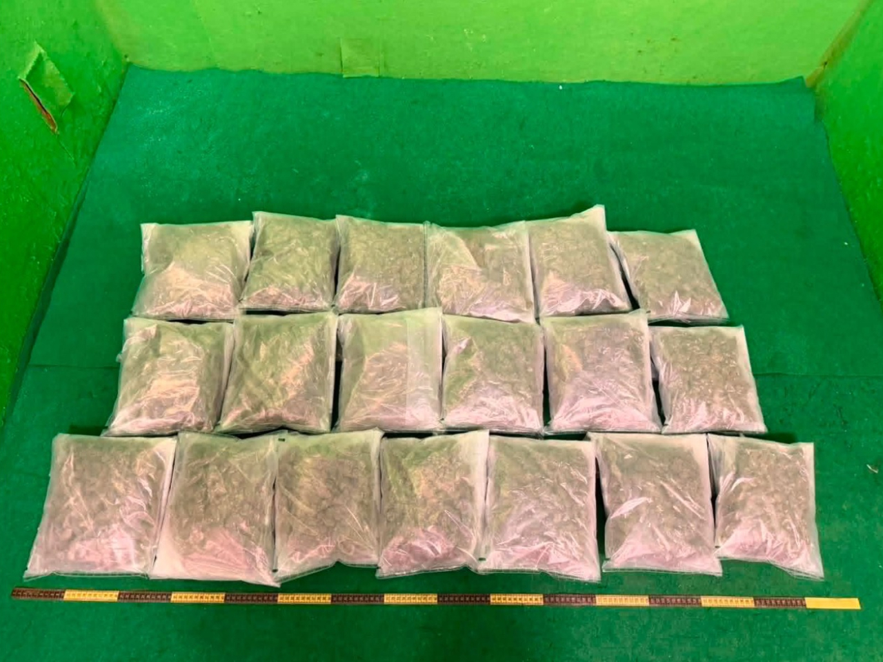 海關在機場偵破兩宗涉及行李藏毒的販毒案件，拘捕2名男子。(政府新聞處)