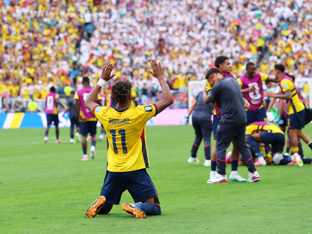 Ecuador are through to the World Cup knockouts for just the second time ever. Photo: Reuters