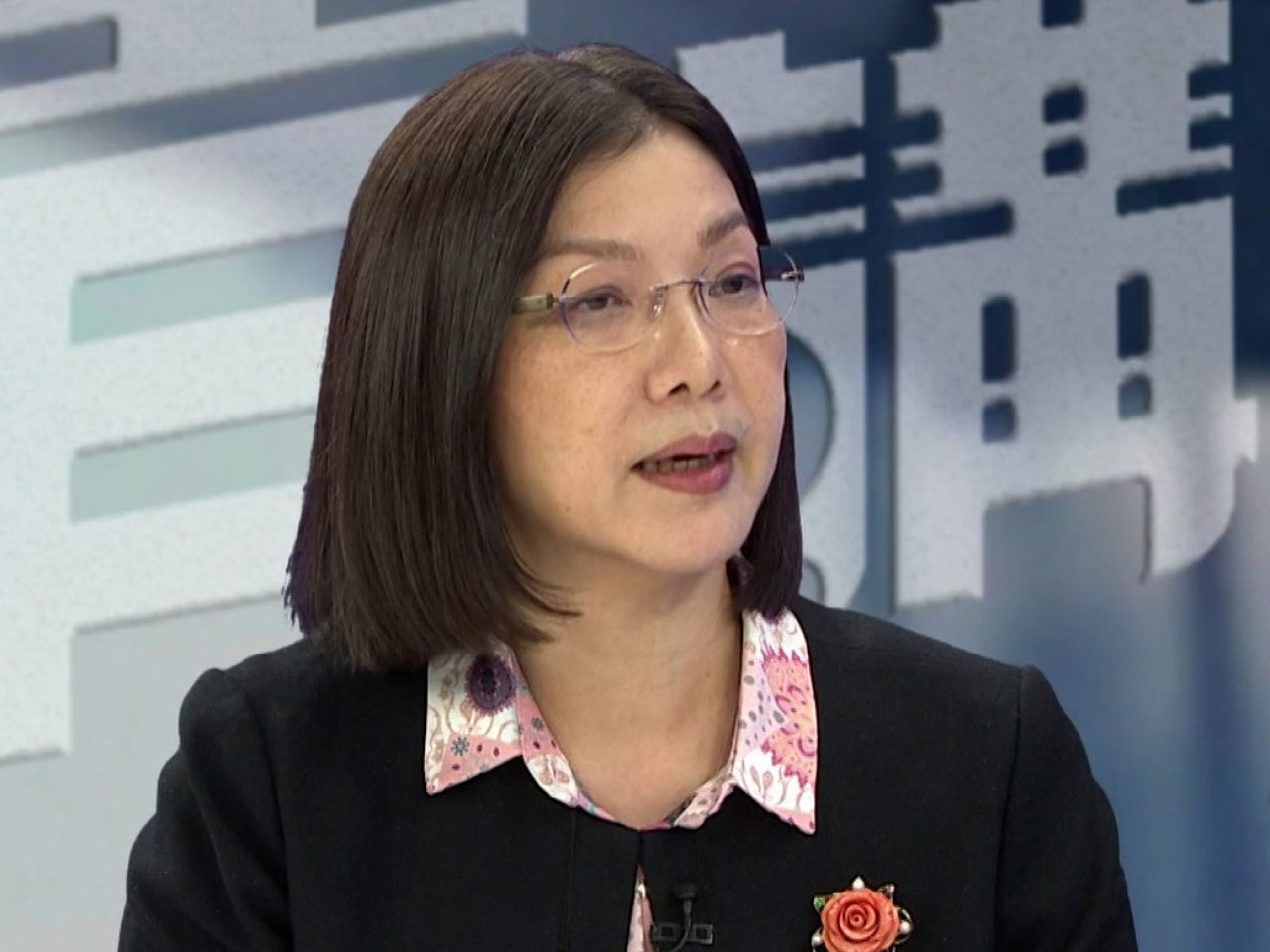謝小華表示，五年規劃專題網頁至今接獲大約1000份意見，當中很多關注北部都會區發展，以及安老和房屋等民生議題。（節目截圖）