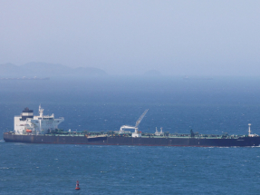 加里巴巴迪說，霍爾木茲海峽不是域外國家進行軍事展示的場所。（路透社）