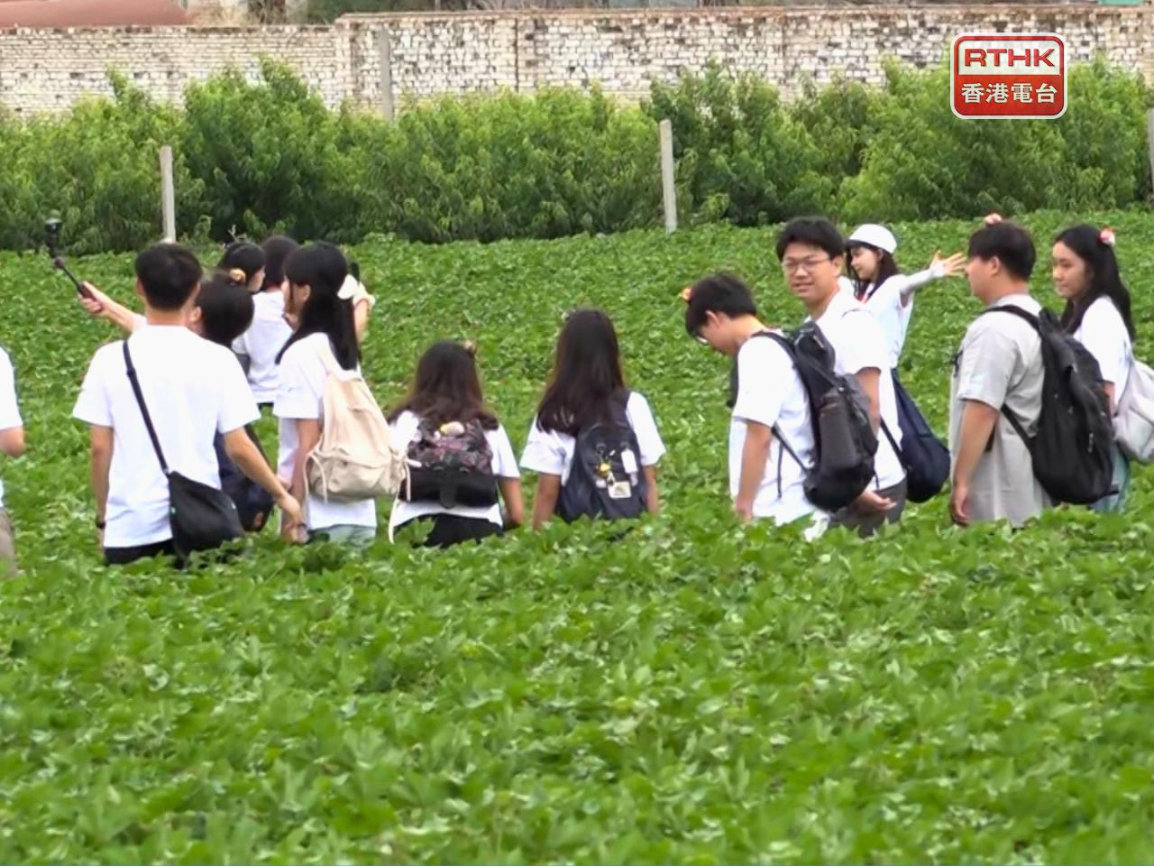 More than 100 pupils taking part in RTHK's Solar Project visited cotton fields in the Xinjiang Uygur Autonomous Region. Photo: RTHK