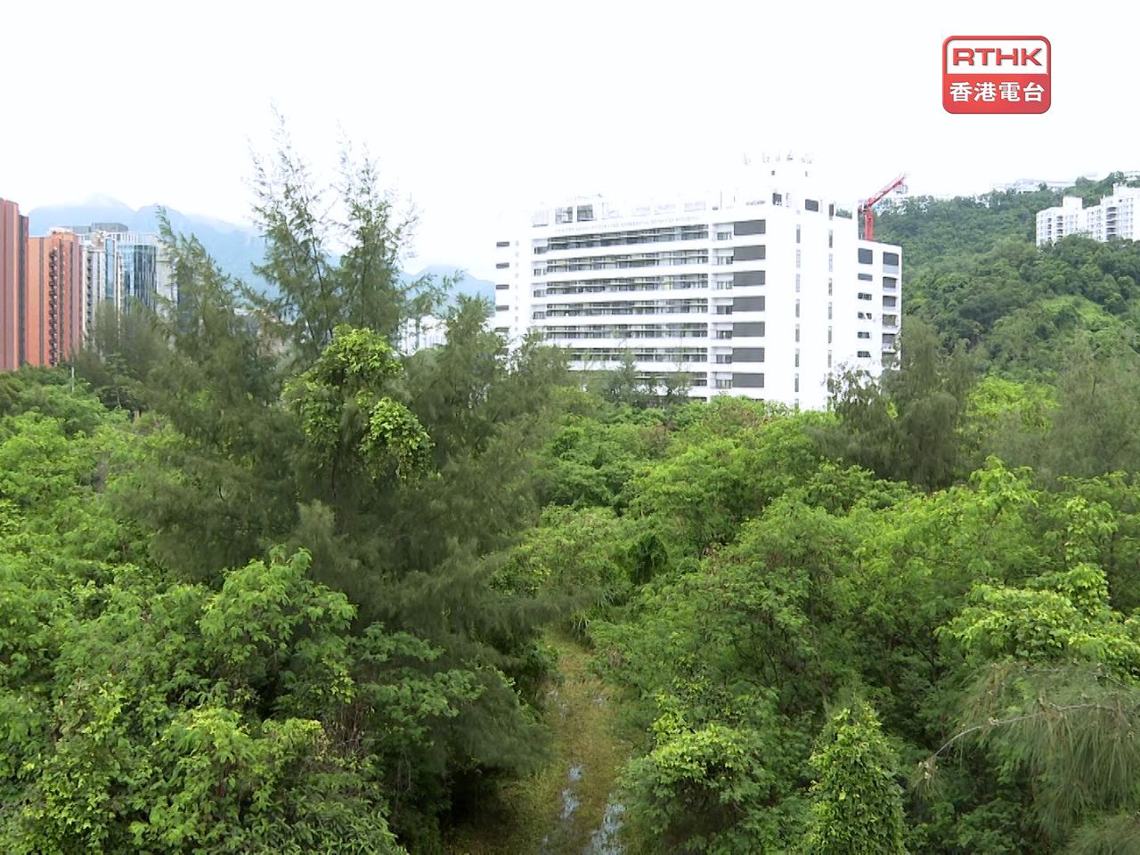Authorities say they'll adopt a "station first, residential development later" approach, with property development work kicking off in phases as early as 2031. File photo: RTHK