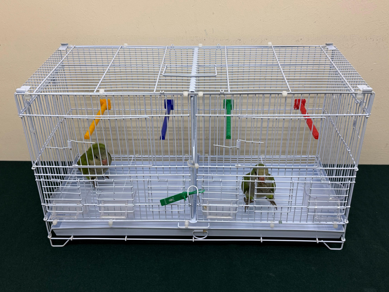 The endangered birds were found in a local woman's backpack at the Lok Ma Chau Spur Line Control Point. Photo courtesy of Information Services Department