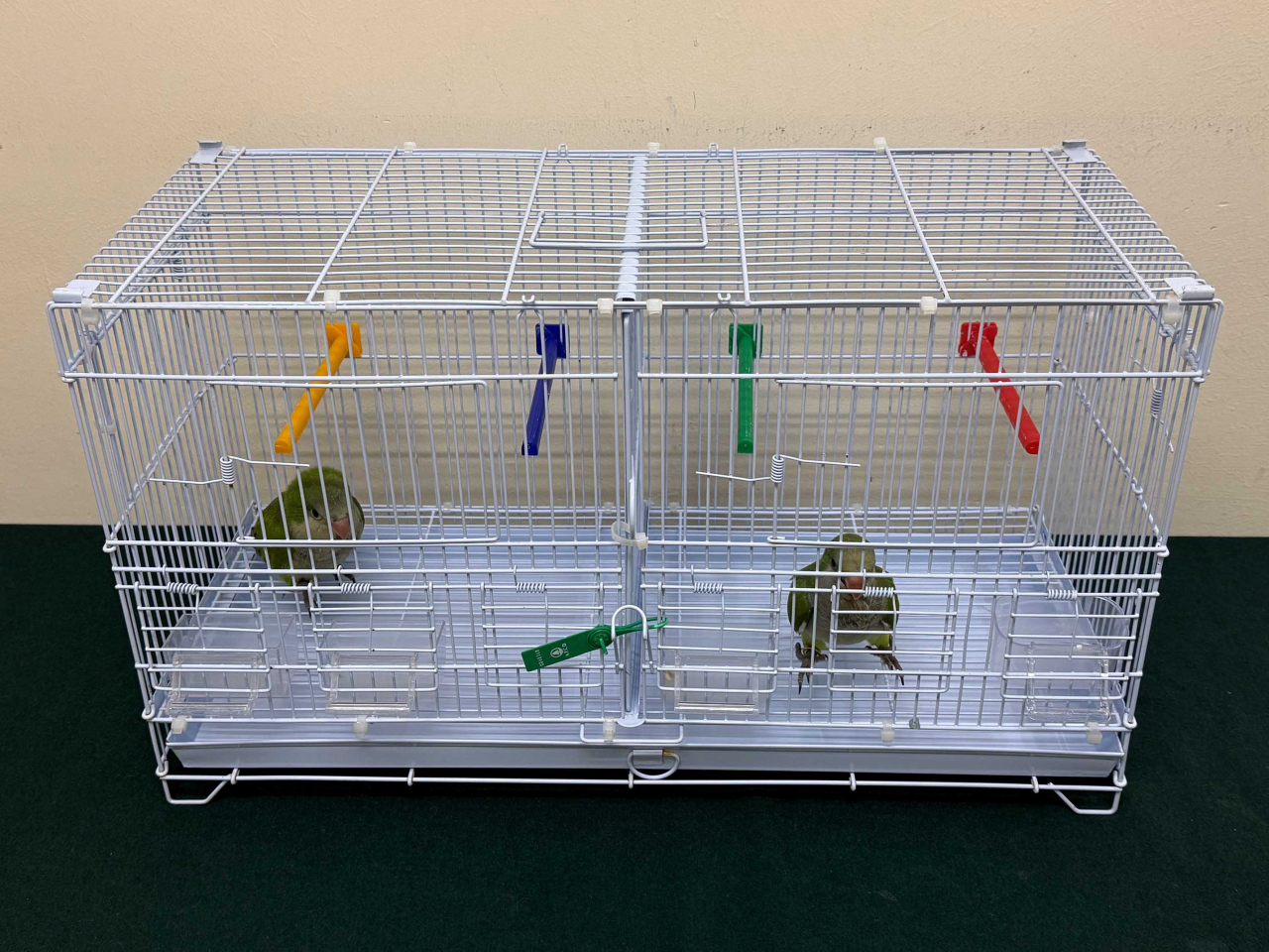 海關檢獲的懷疑屬受管制瀕危物種活雀鳥。（政府新聞處）