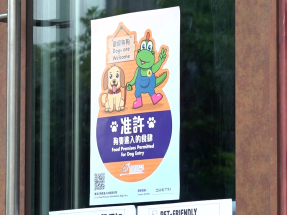 狗隻進入獲准食肆措施　食環署接約20宗投訴