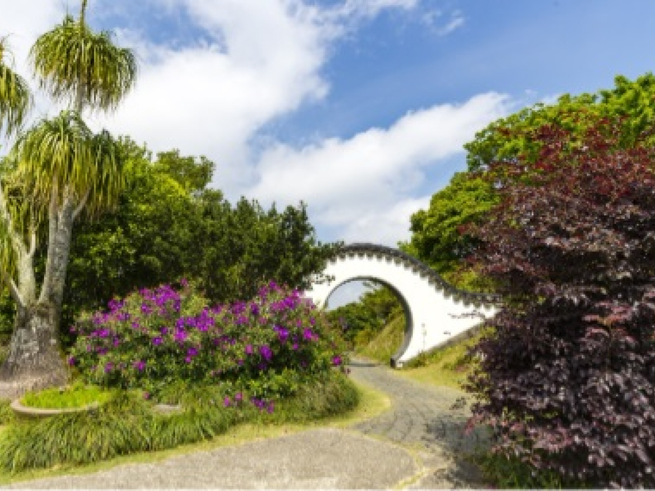訪客可選擇沿上山區路線遊覽指定的歷史地標。（嘉道理農場暨植物園提供）