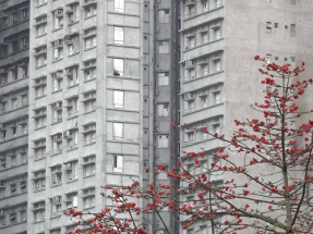 杜淦堃批評宏福苑承建商為節省成本欺騙政府　工程顧問無履行職責