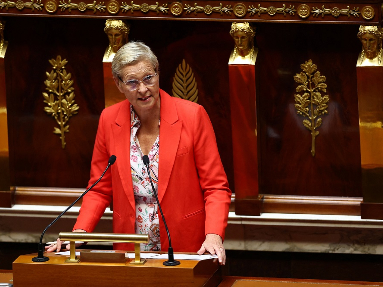 Digital Minister Anne Le Henanff said ahead of the vote that the onus was on social media platforms to impose the rule. Photo: Reuters