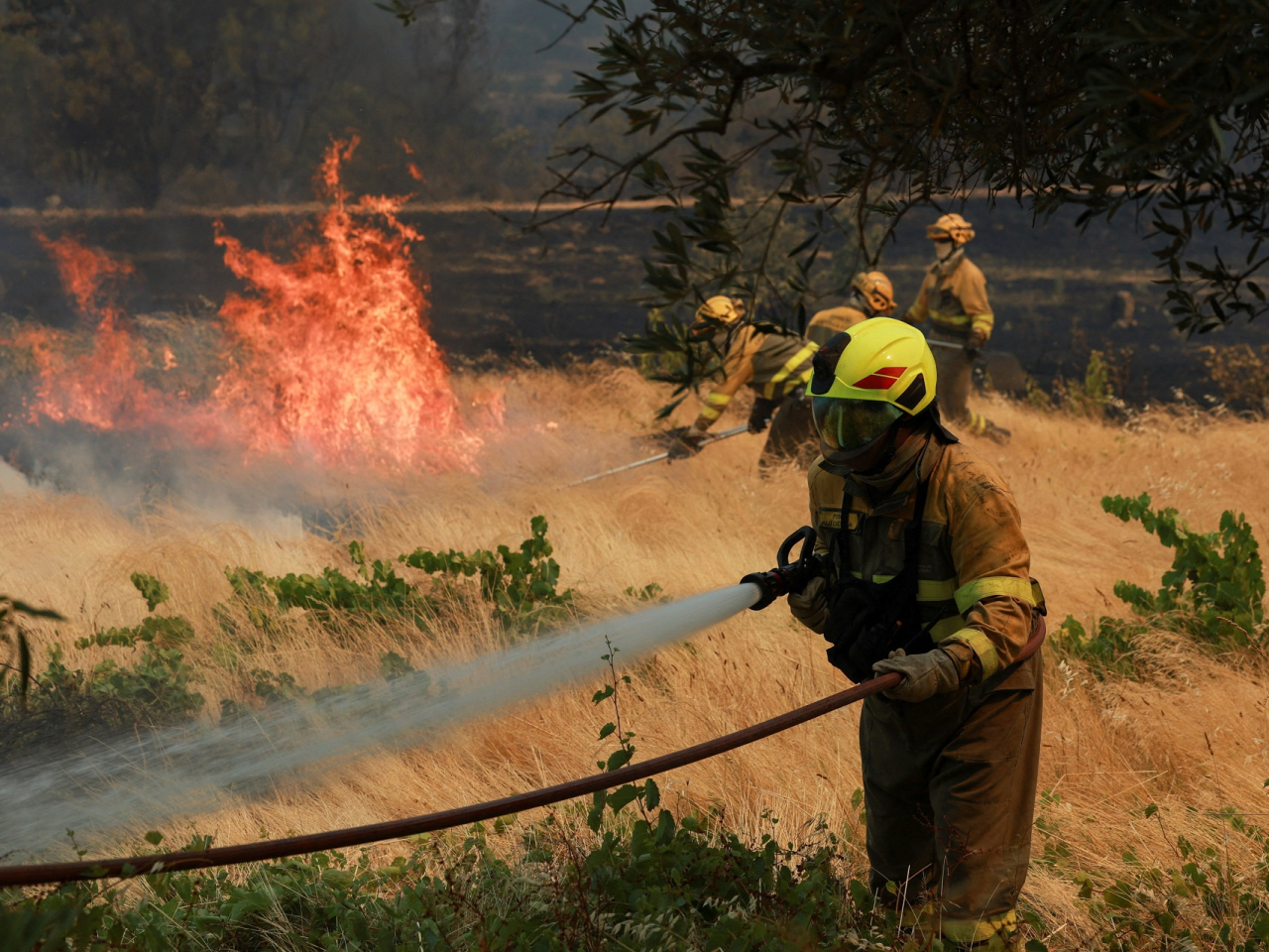 Firefighters battle a wildfire affecting Castilla y Leon province, in the village of El Tiemblo, Spain. Photo: Reuters