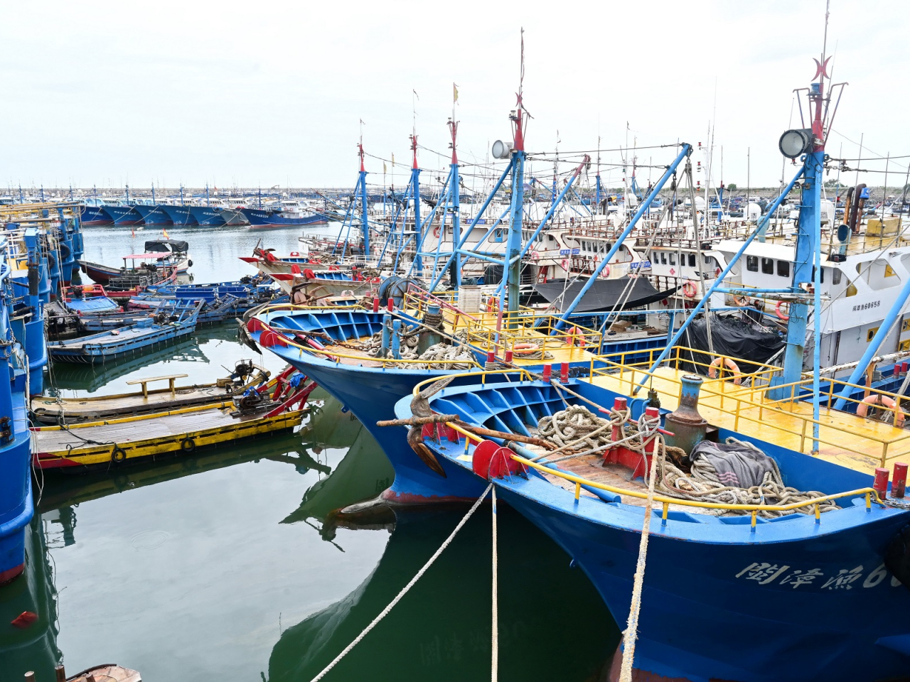 Thousands of vessels have been moved from the Guangdong coast to safer areas. Photo: Xinhua