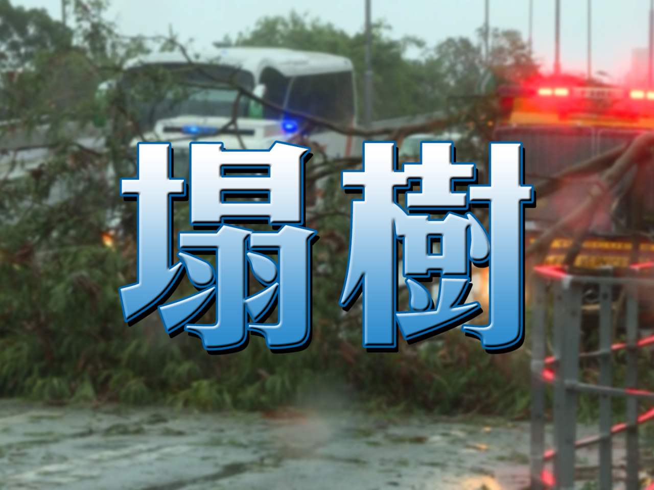 截至凌晨1時，政府1823電話中心及消防處分別收到1宗及6宗塌樹報告。