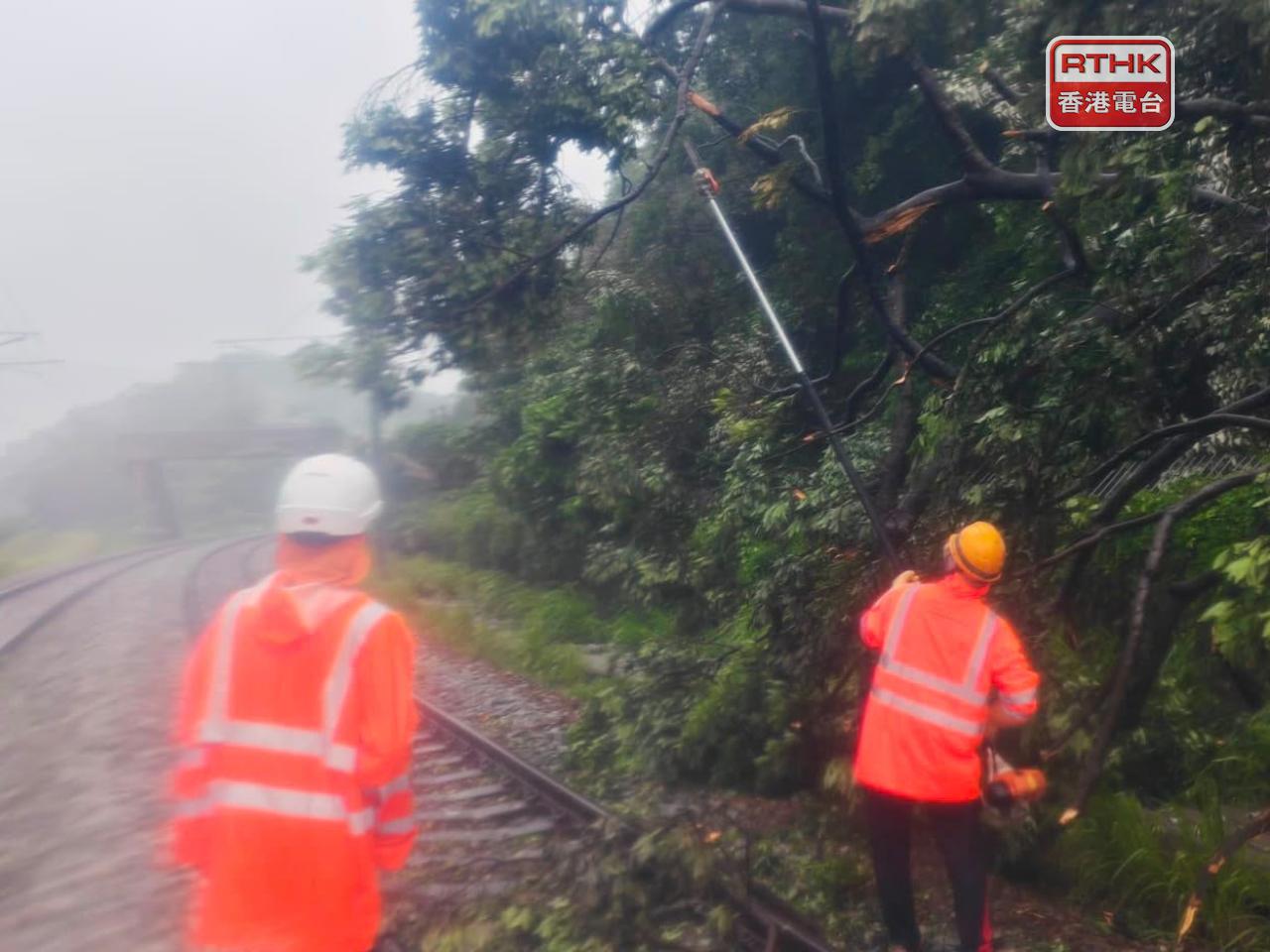 港鐵表示，東鐵綫沿綫多個地點有塌樹，特別是太和站附近架空電纜亦有多處受損。（港鐵提供）