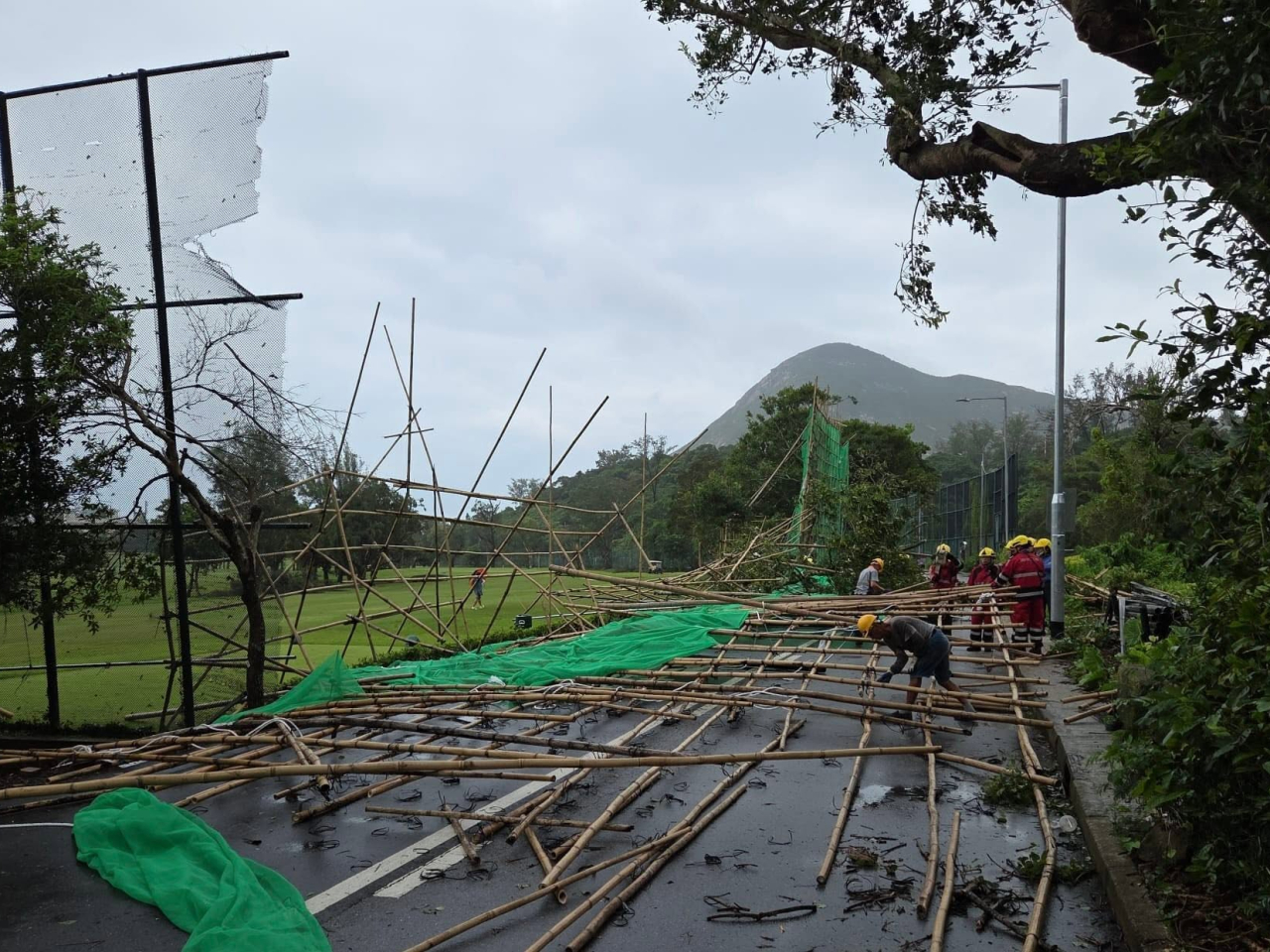 署方協助清理石澳道塌下棚架，該路段已重開。（路政署社交專頁圗片）