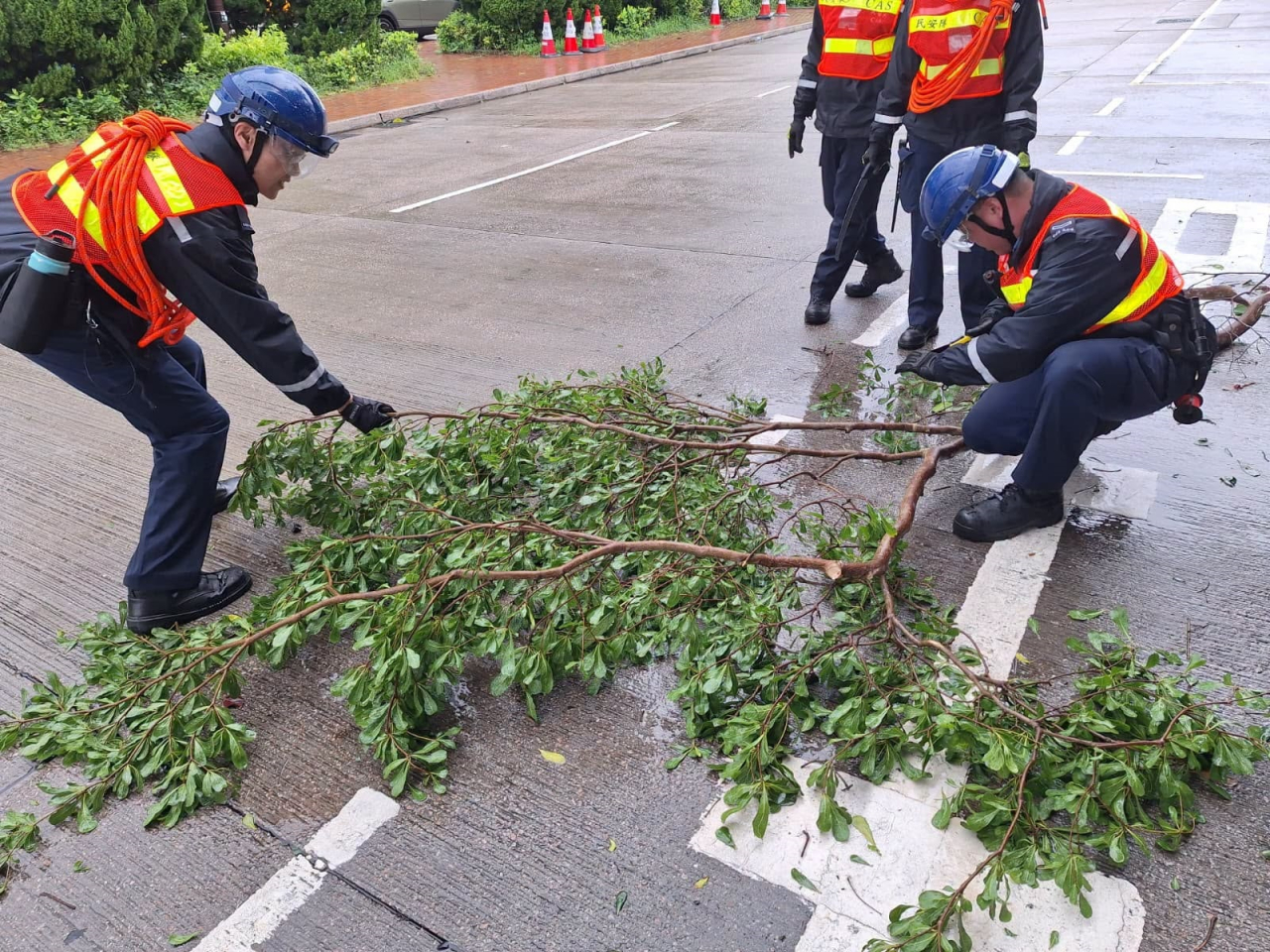民安隊處理荃灣、中環等地5宗塌樹及圍欄阻塞事件，確保道路暢通。（民安隊社交網頁圖片）
