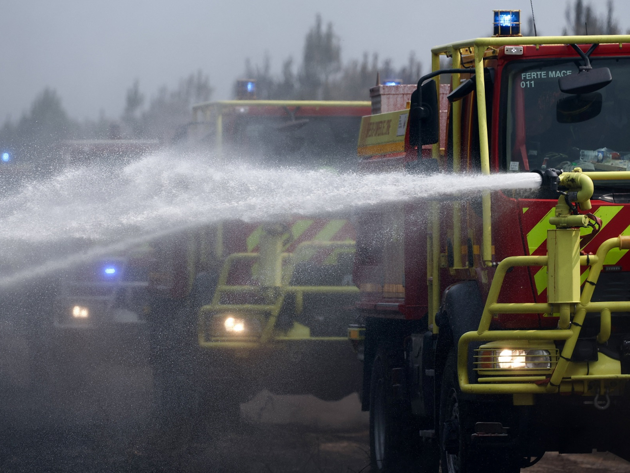 Spain and France are fighting the worst wildfires in living memory, which have ripped through hundreds of hectares of woodland. Photo: Reuters