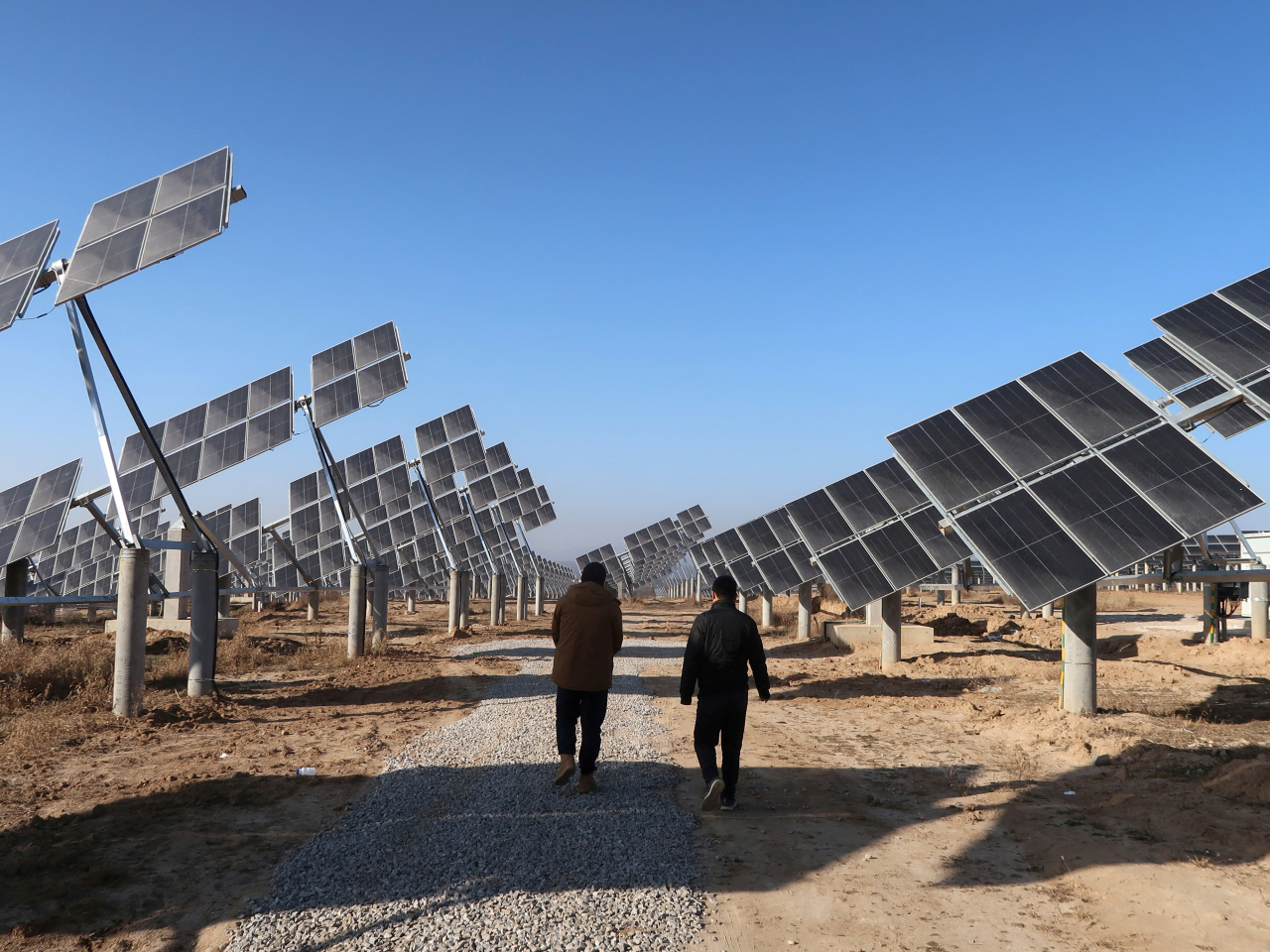 Installed capacity of wind and solar power hit a combined 1.95 billion kilowatts on the mainland by the end of June. File photo: Reuters
