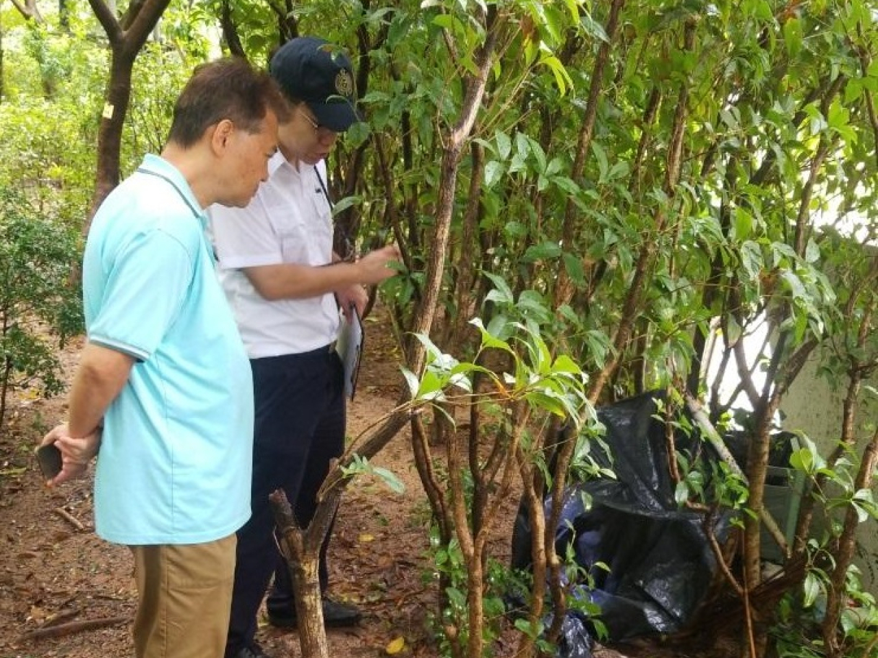 食環署人員巡視深水埗區長沙灣一公共屋邨，並就發現邨內有積水向有關屋邨管理公司發出法定通知書，要求負責人在限期內清除有關積水。（政府新聞處）