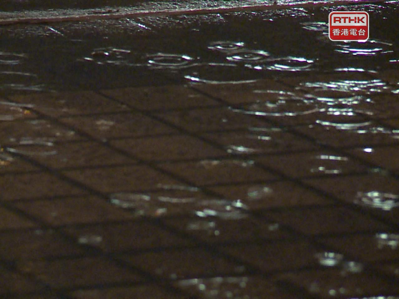 天文台預料雷雨區未來兩三小時影響本港。（港台圖片）