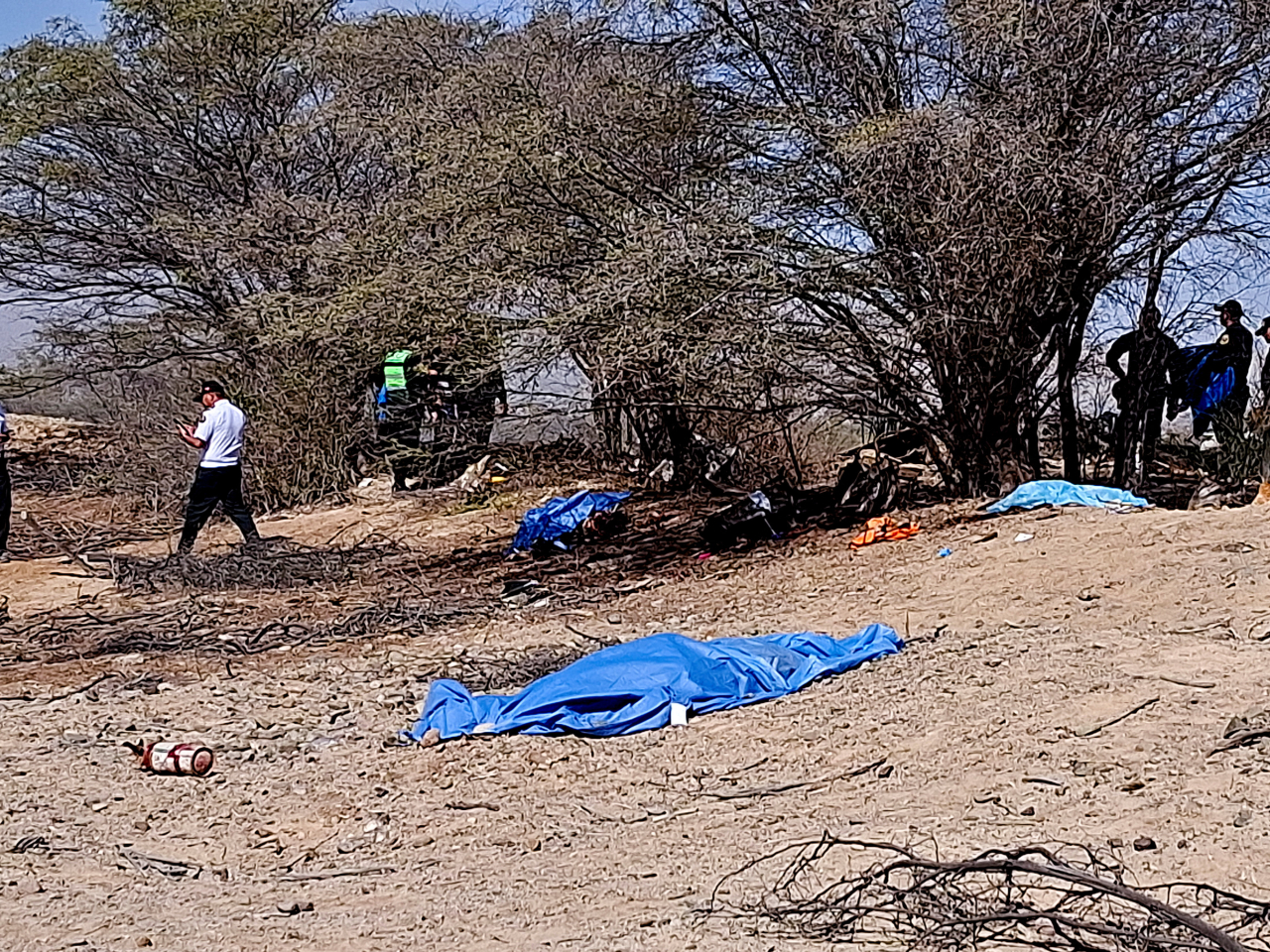 Authorities work in the area where a small aircraft carrying tourists from Germany, Italy and Spain crashed over the Nazca Lines archaeological site in Nazca. Photo: Reuters