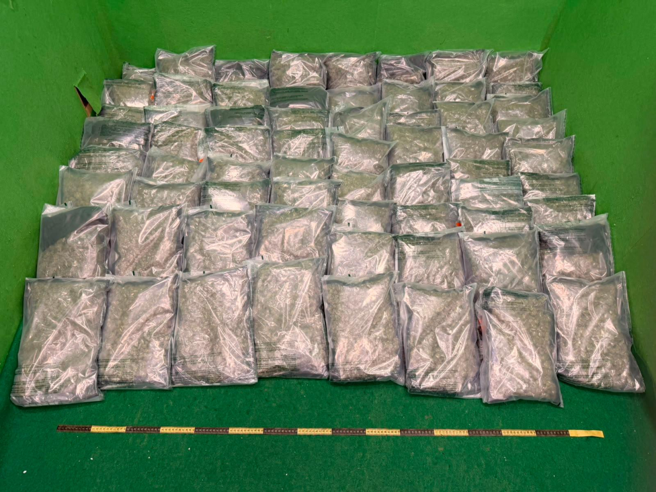 海關檢獲的懷疑大麻花，估計市值680萬元。(政府新聞處)