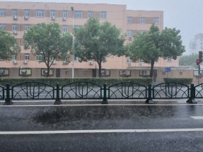 白海豚在浙江省台州玉環市坎門街道沿海登陸