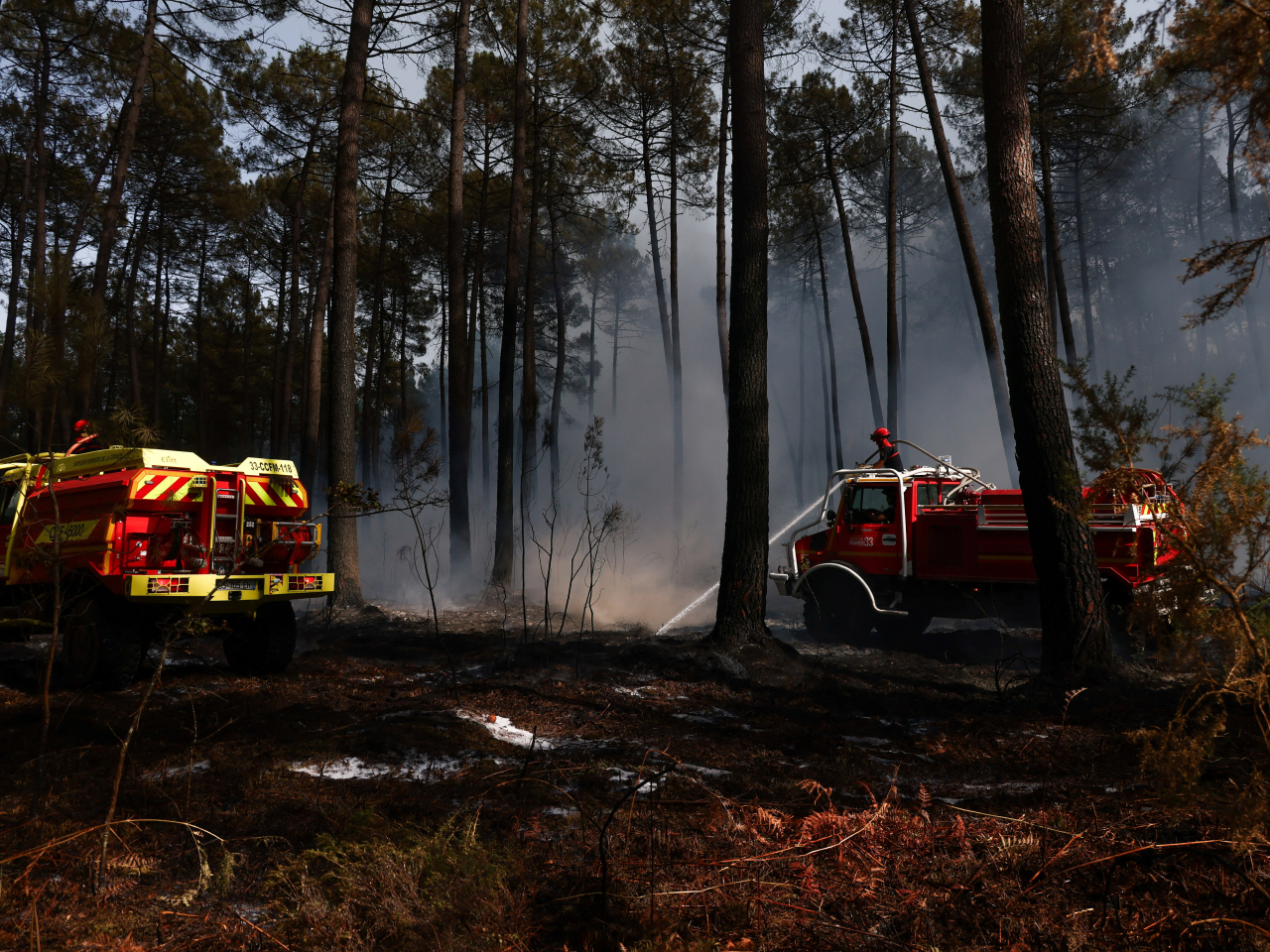 Firefighters hose down remnants of a fire in south-western France as residents struggle with a heatwave and water shortages. Photo: Reuters