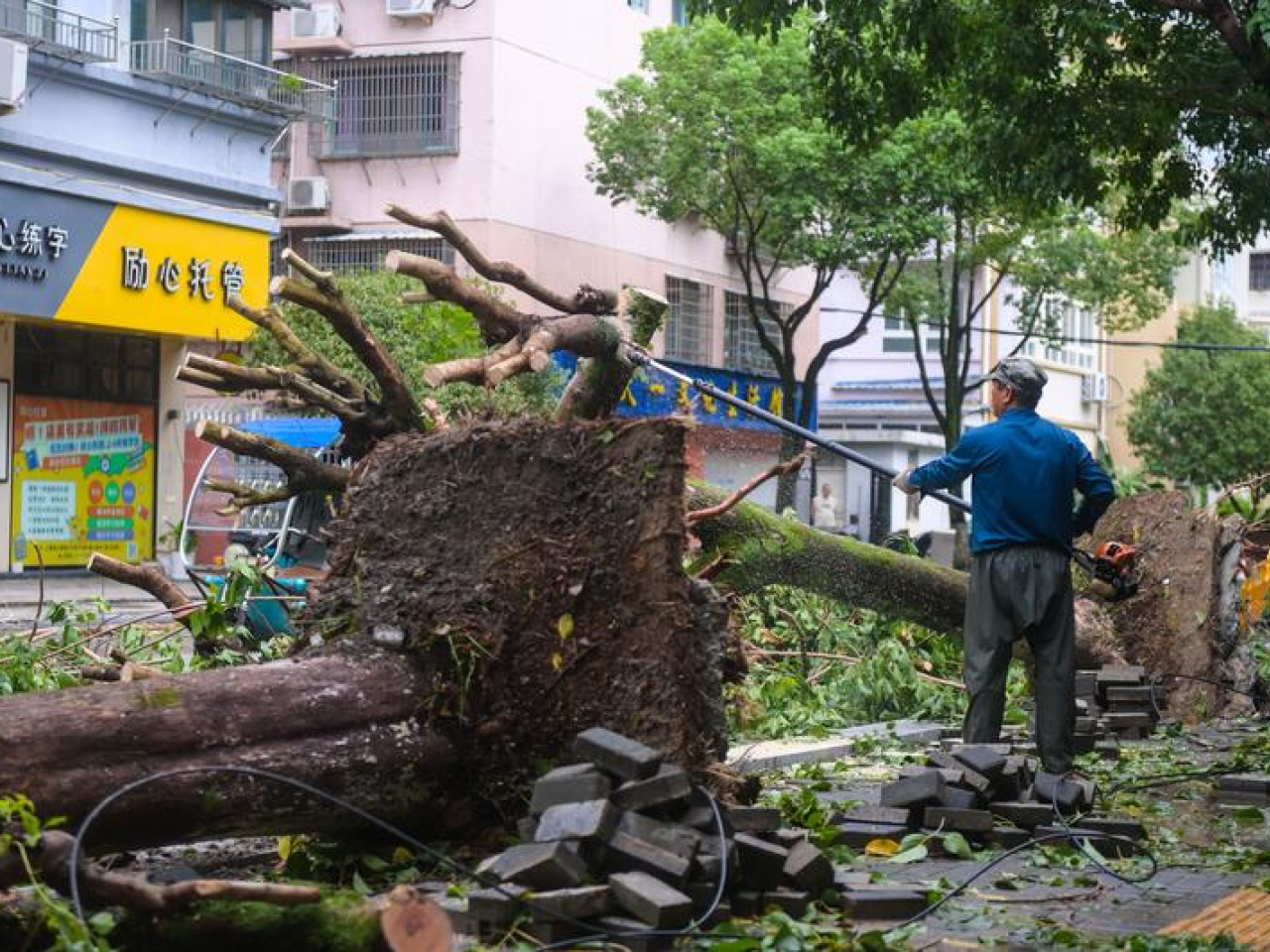 Typhoon Dolphin causes damage in Wenzhou, Zhejiang province. Photo: Xinhua