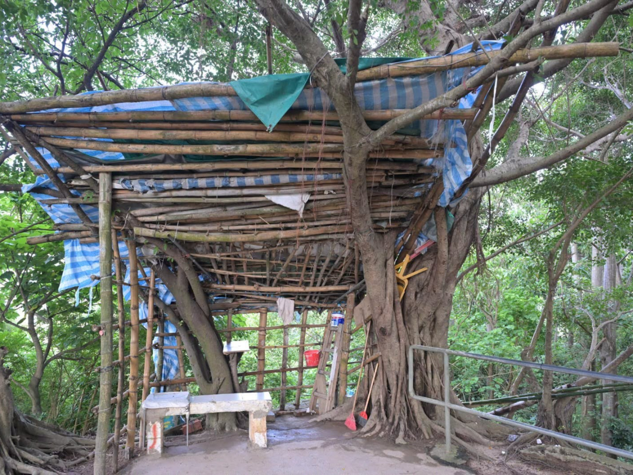 深水埗窩仔山一帶有僭建構築物，當局分階段展開優化計劃，除清理違法設施，亦會在山上安全位置增設康樂設備。（民政事務總署）