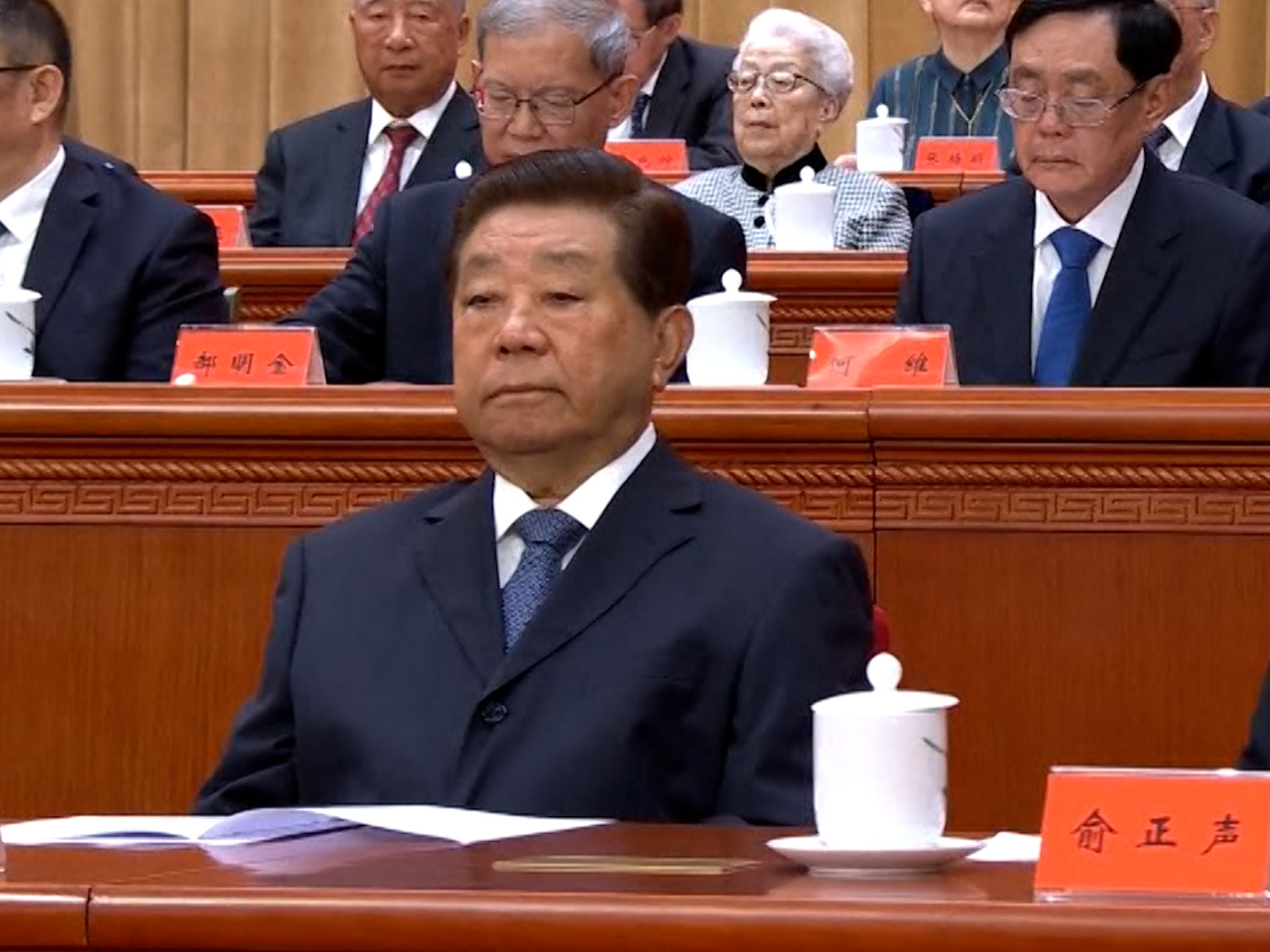 出席大會的退休黨和國家領導人包括賈慶林。（央視）