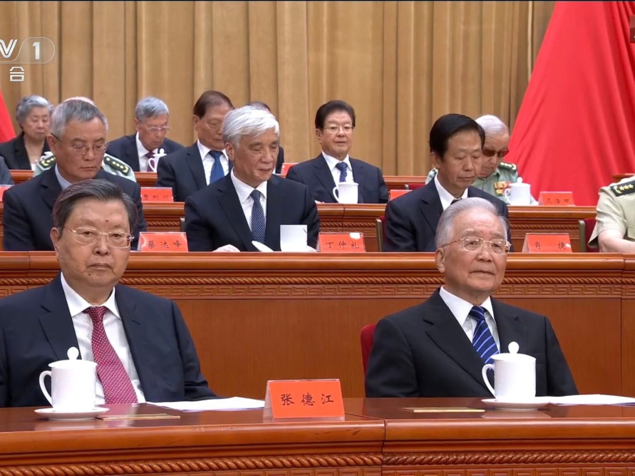 出席大會的退休黨和國家領導人，包括張德江（左）和溫家寶（右）。